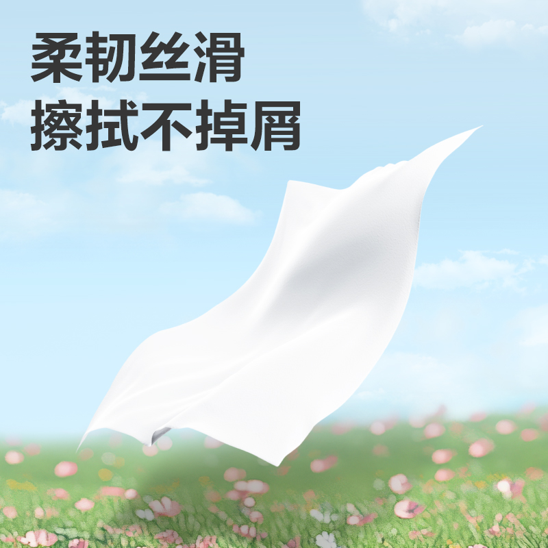 凈云WP3160-01盤式衛(wèi)生紙3層160米(箱)(藍(lán))