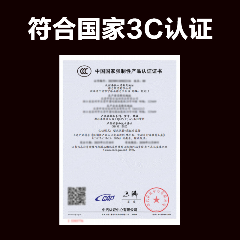 得力得心LQ635摩托車乘員頭盔A3大號(hào)(黑)(1個(gè)/盒)