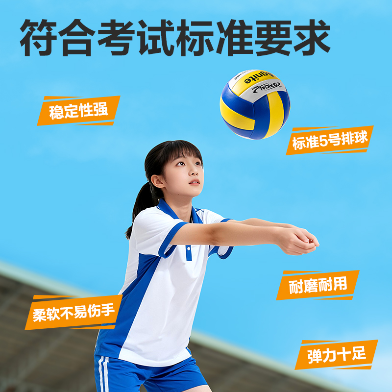 安格耐特FD306_5號(hào)PVC機(jī)縫排球(混色)(個(gè))