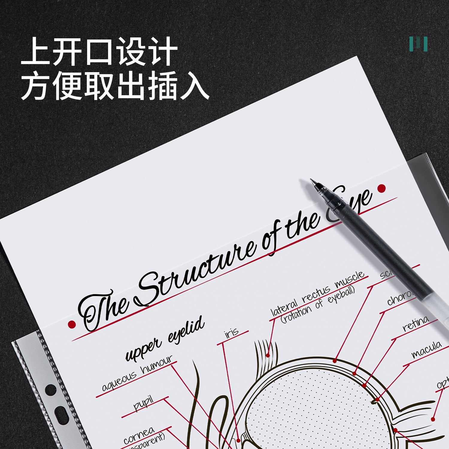 得力PP601_11孔資料袋(透明)(100個/包)