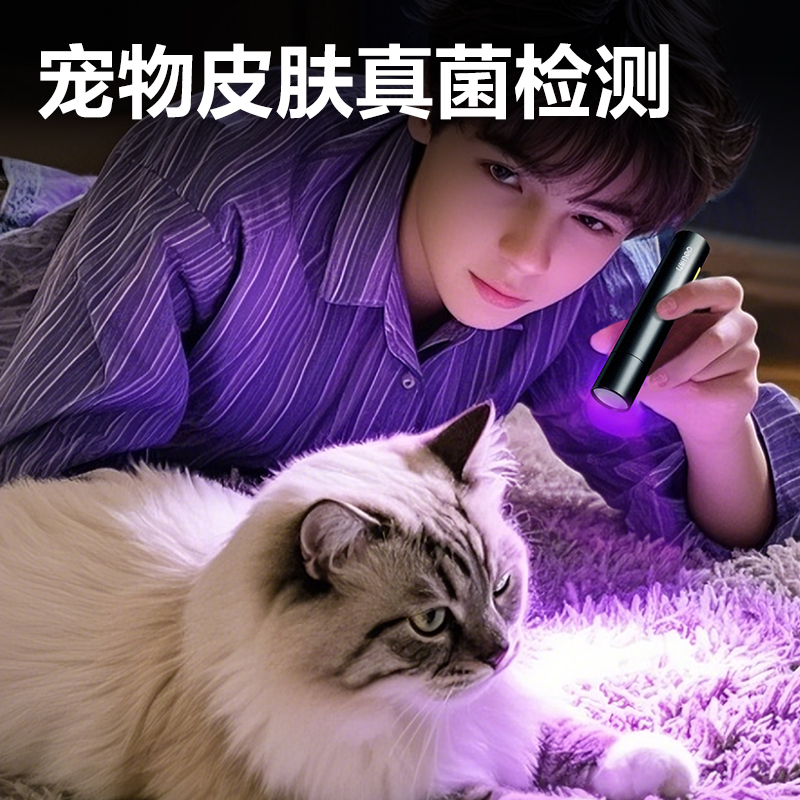得力MA801紫光燈(黑)(支)