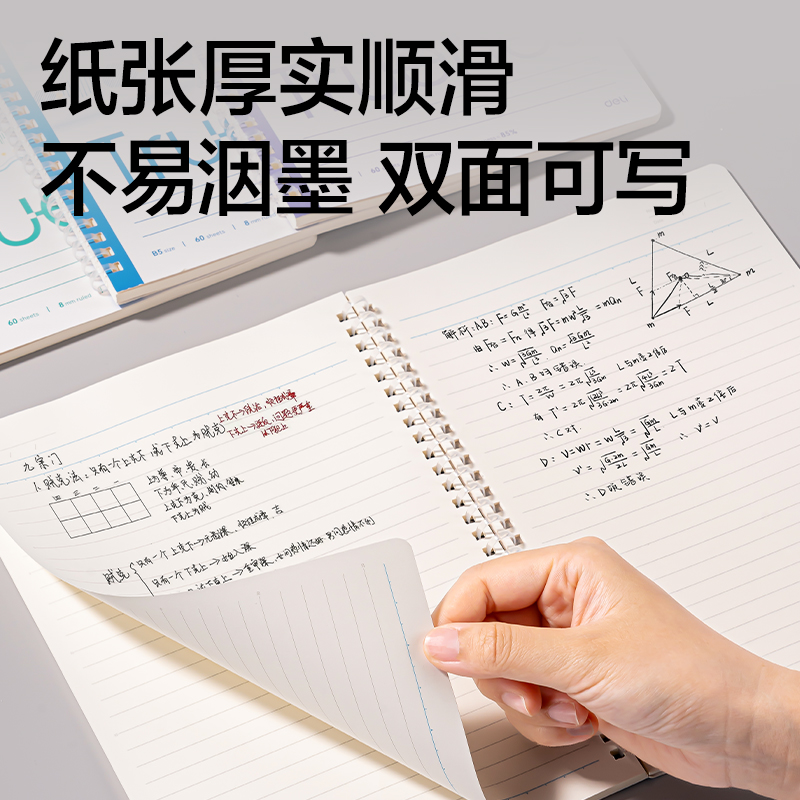 得力LB560-T軟線圈本(柔光淡彩）(本)