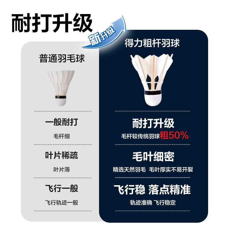 安格耐特FH111-6羽毛球-粗桿羽球(6只裝)(白)(筒)