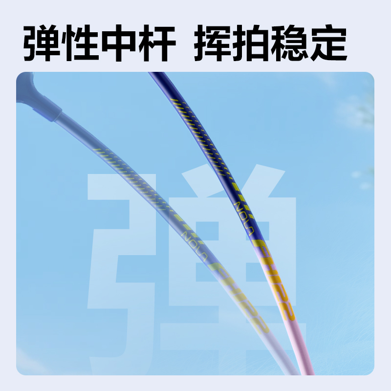 安格耐特FH122-A鐵合金羽毛球拍-帶3球-帶護(hù)套(藍(lán)紅、藍(lán)紫)(付)