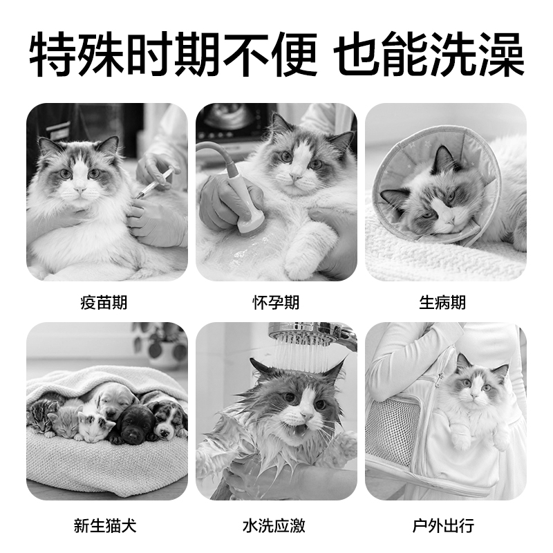 得力Bembam_BM104_10片裝寵物加厚免洗手套(混)(包)