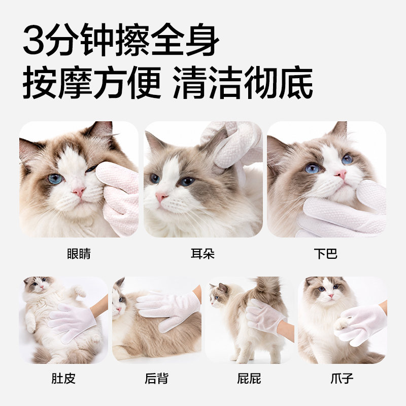 得力Bembam_BM104_10片裝寵物加厚免洗手套(混)(包)