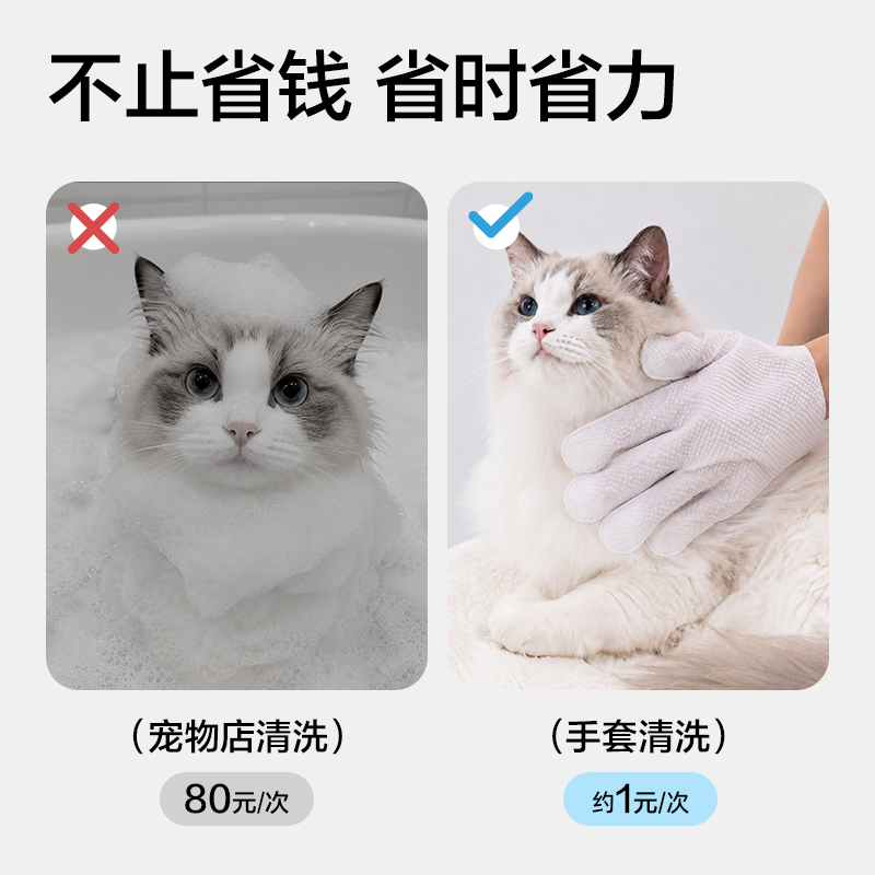得力Bembam_BM104_10片裝寵物加厚免洗手套(混)(包)