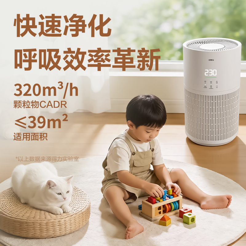 得力LR070空氣凈化器(白)(臺)