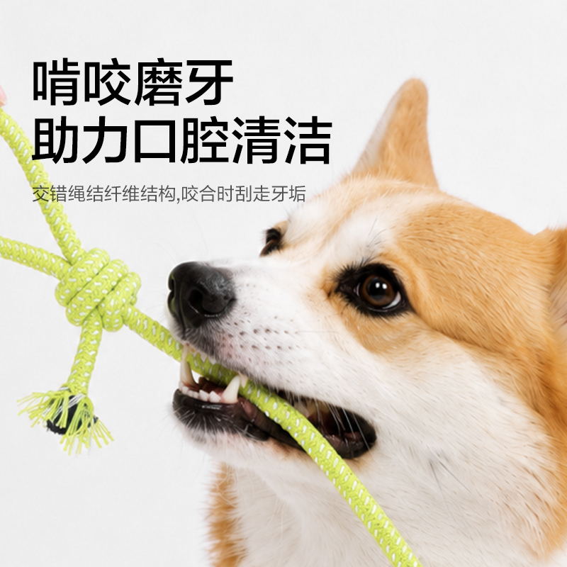 得力Bembam_BM801_耐咬解悶繩結(jié)玩具5件套(混)(包)