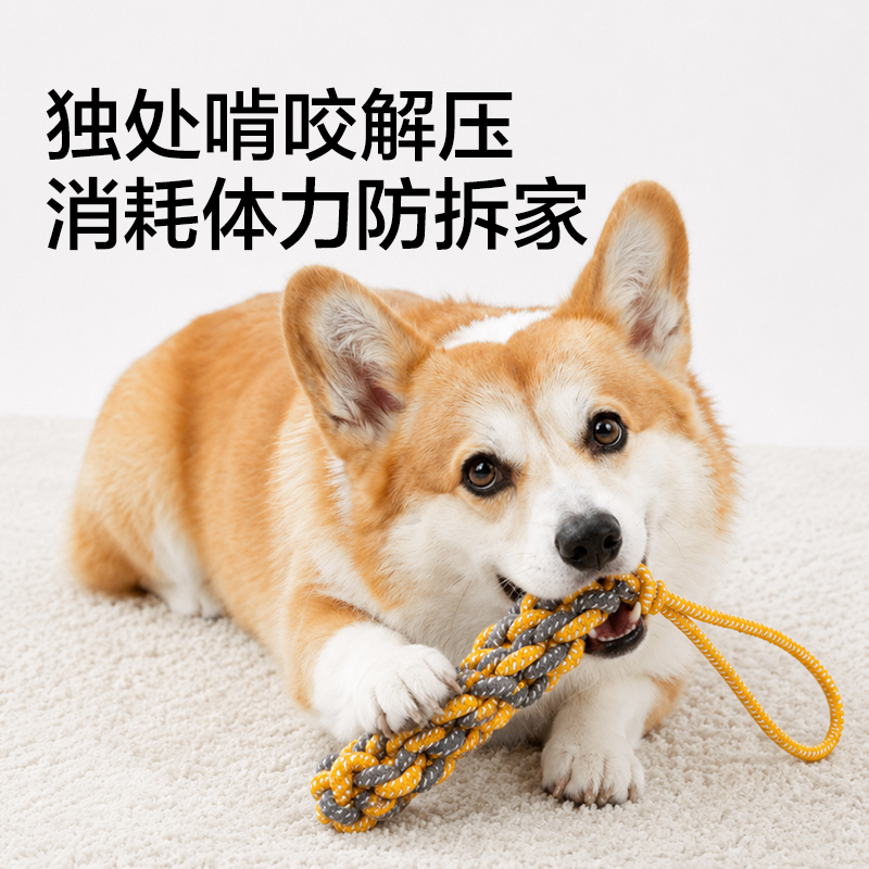 得力Bembam_BM801_耐咬解悶繩結(jié)玩具5件套(混)(包)