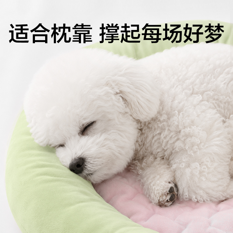 得力Bembam_BM602_L碼寵物豆豆軟墊(綠)(個(gè))