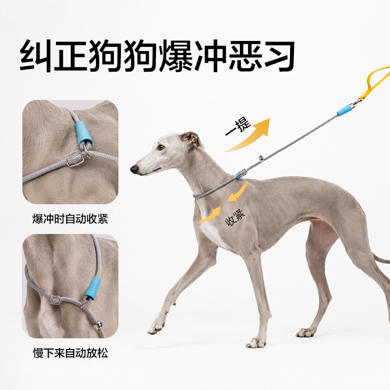 得力Bembam_BM504_1.5m標(biāo)準(zhǔn)款寵物P繩(橙)(個(gè))
