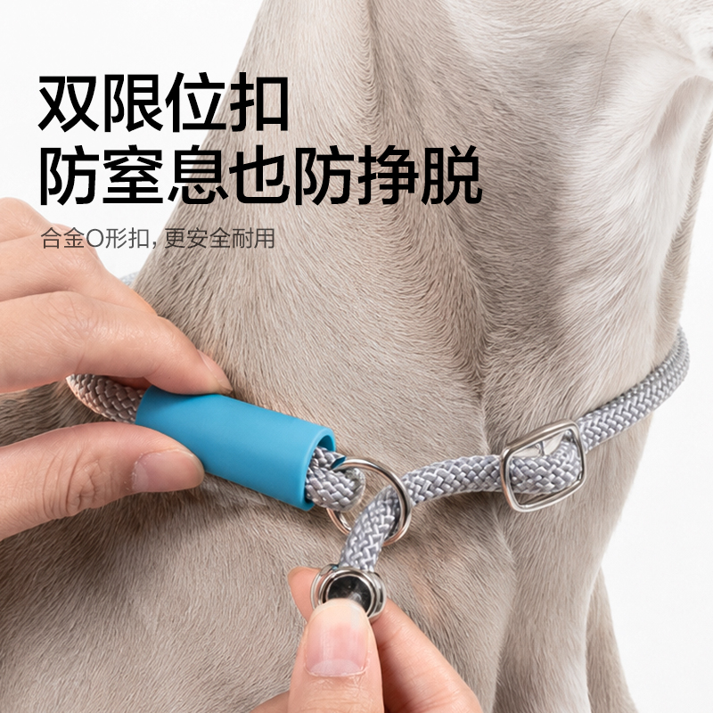得力Bembam_BM504_1.5m標(biāo)準(zhǔn)款寵物P繩(橙)(個(gè))