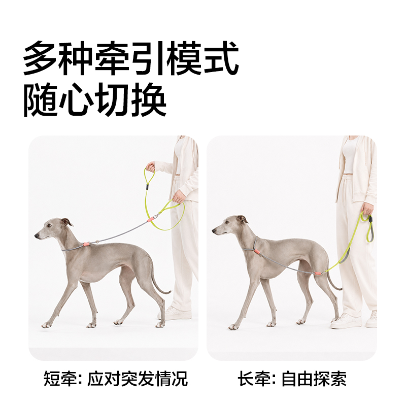 得力Bembam_BM504_1.5m標(biāo)準(zhǔn)款寵物P繩(橙)(個(gè))
